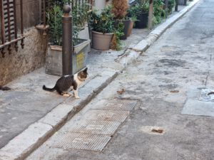 Sehenswürdigkeiten in Marseille - Le Panier